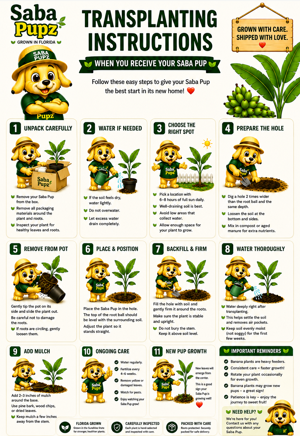 Saba Pupz transplanting instructions and step-by-step planting guidance.