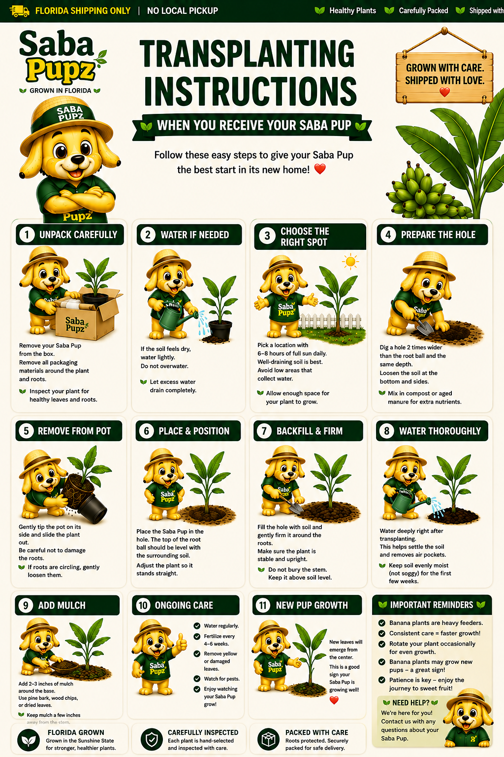 Saba Pupz transplanting instructions and step-by-step planting guidance.